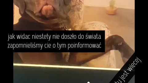 Kontrola umysłów tiktok - obserwacja granicy matrixa, nagranie ekranu.