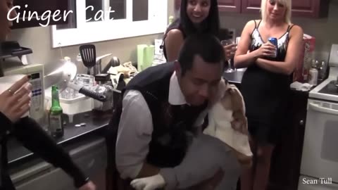 The Unconditional love of a Dog To Their Owner