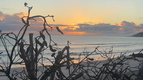 2024-06-26 Byron Bay sunrise