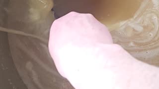 Honey in Super Slow Motion