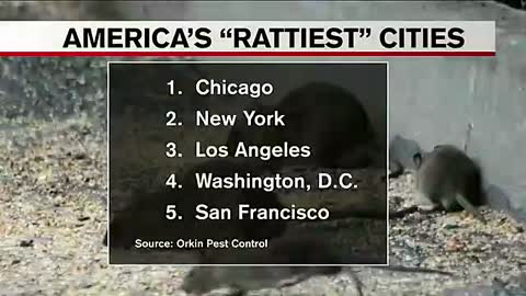 NYC officials hope to send rats packing, mayor signs 'Rat Action Plan'_4