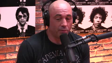 Joe Rogan and Michael Malice #963 Full Episode