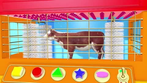 Fun Cow for Kids | Shapes | Animals Cow for Children1