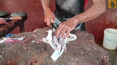 Cuttlefish Cleaning And Cutting
