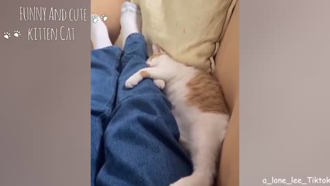 Caught countless cute moments of cat and owner sleeping together