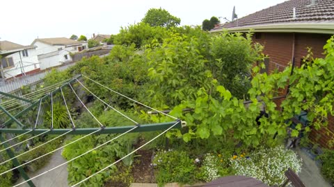 BackyardForestGarden- Sustainable Gardening Australia (SGA)