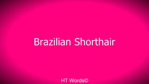 Pronunciation of Brazilian Shorthair