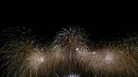 Firework Stock Footage