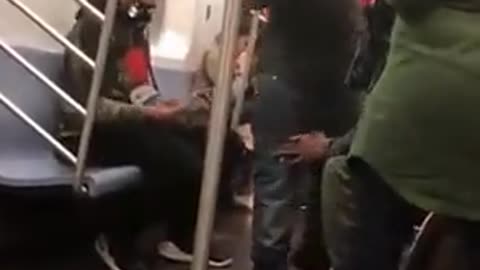 Fight in USA Metro Train