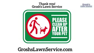 Lawn Mowing Service Hagerstown Maryland Dog Poop