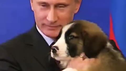 Putin love dogs and cats