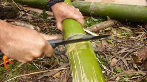 Cooking With Giant Bamboo Whilst on a Camping Trip