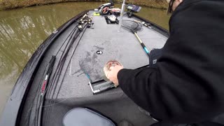 CVA Outdoors - Citation Late Fall Largemouth Bass | Drop Shot Fishing