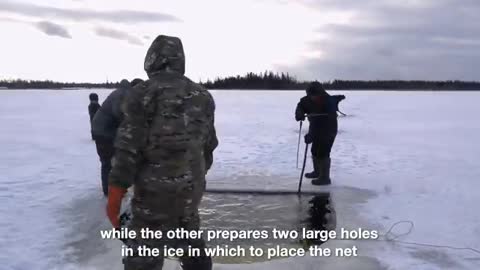 How to Get Food in the Coldest Village on Earth, Yakutia