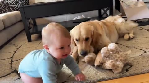 Adorable Baby Boy Talks To His Golden Retriever! (Cutest Ever!!) New
