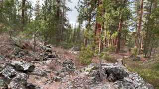 Exploring the Volcanic Zone as it Snows – Central Oregon – Edison Sno-Park – 4K