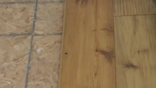 How to lay a wood floor