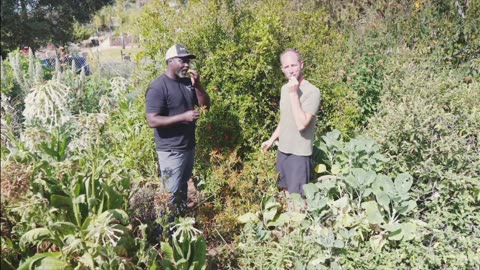 from desert to food forest