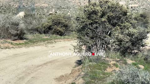 Anthony Aguero Live