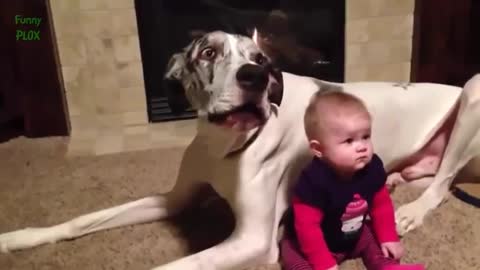 Dogs friend with babies cute children and the games playing