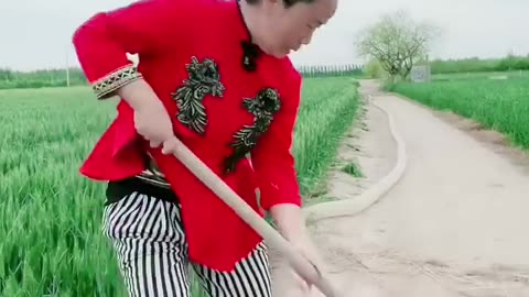 Best Funny Videos 2022, Chinese Funny clips daily #shorts