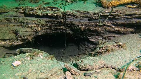 La Jolla Shores, Main Wall, 11_26_22