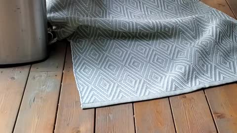 Adorable little puppy hides under a rug