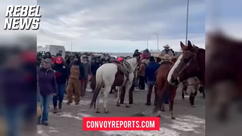 Cowboys Show Up At Truckers Convoy In Canada