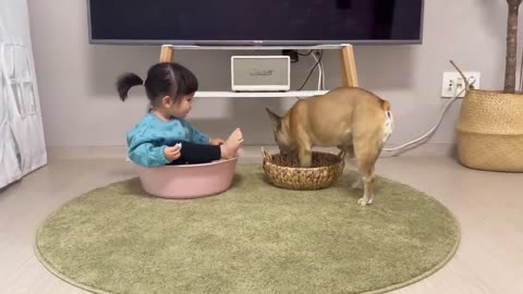 Our FUNNIEST Best Dog And Baby Moments
