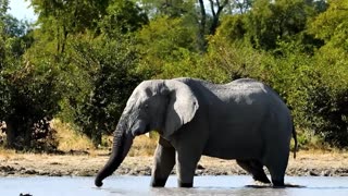 Nairobi National Park