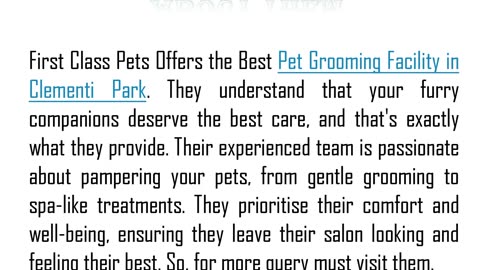 One of the Best Cat Grooming Service in Clementi Park