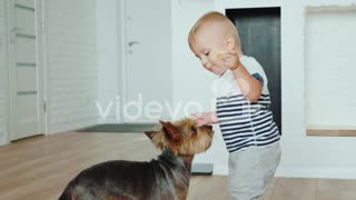 06_Kudina_home_III_05_feed_dog_preview