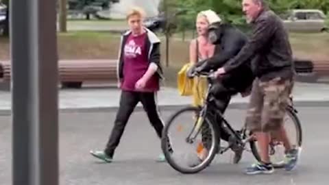 ADORABLE: Escaped Chimpanzee Returns To Zoo After Receiving Her Raincoat And A Bike Ride