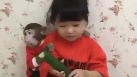 funny monkey wants some cucumber🐵😍