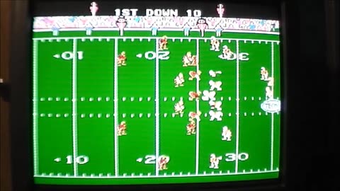 Buccaneers at 49ers NFC Divisional Playoff Tecmo nes