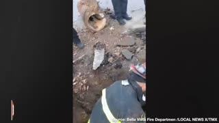 Watch: Dog Stuck in Drainage Culvert Rescued by Community