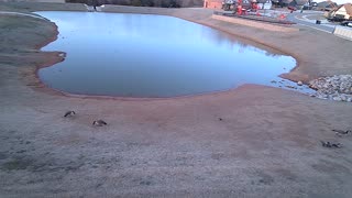 The Pond