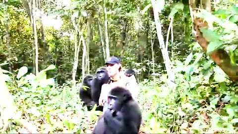 Animals Reunited With Owners After Years! ❤️