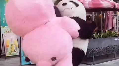 Cute teddy bear fight || panda fight ||