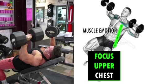 20 BEST INNER ,LOWER AND UPPER CHEST WORKOUT WITH DUMBBELLS ONLY AT HOME OR GYM