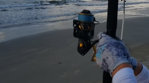 Surf Fishing Freeport Texas - Big Ugly Watch 'till the end!!!