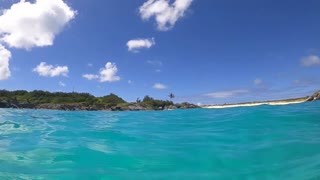 Freedivers in Bermuda
