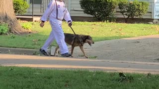 Astronaut and Dog Take A Walk