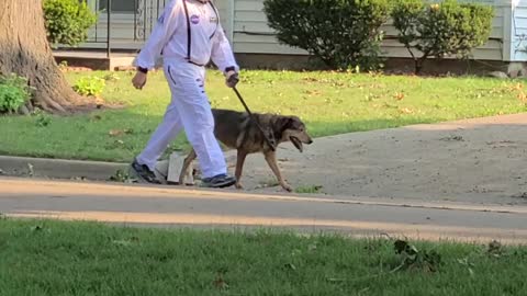 Astronaut and Dog Take A Walk