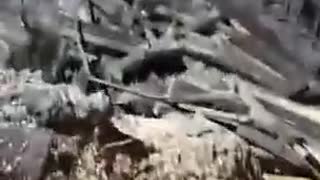 Supposedly footage from the site where the two rockets fell in Poland.