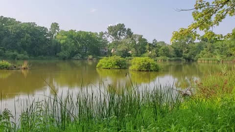 Neighborhood Pond at Sunset