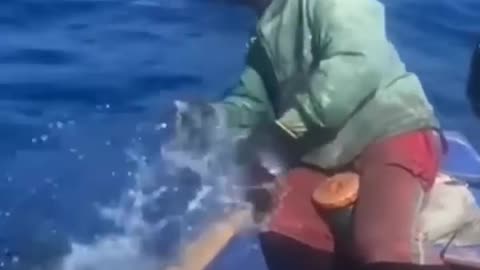 catching fish without fishing rod!!!