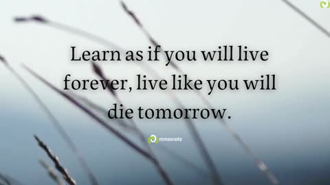 Learn as if you will live forever, live like you will die tomorrow. | mmasnote
