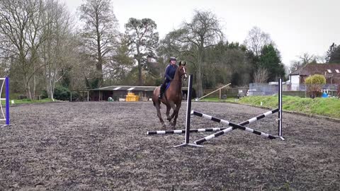 Horse Jumps without Crossing the Barrier