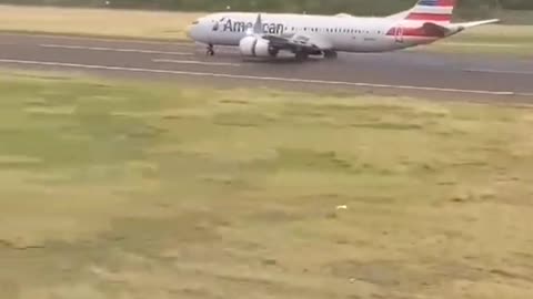 Aborted takeoff due to bird Strike